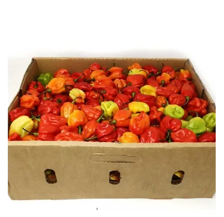 Fresh Hot Pepper (Scotch Bonnet) Ata Rodo