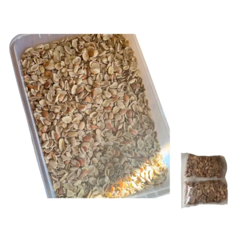 Whole Ogbono Seeds – 100% Natural Wild Mango Kernels